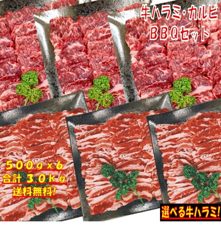 【精肉セット ランキング2位！】焼き肉 バーベキュー 食材 3kg BBQ 肉 焼肉セット 牛バラ 牛カルビ 牛..