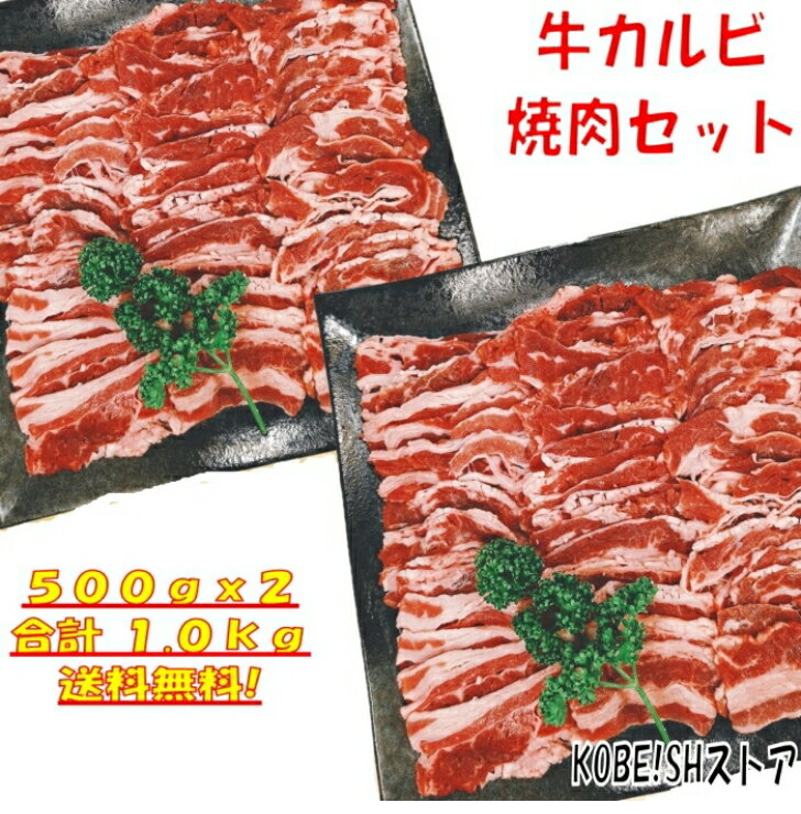 肉セット 焼き肉 【精肉セット ランキング1位！】バーベキュー 食材 1kg BBQ 肉 焼肉セット 焼肉 牛カルビ 牛バラ バーベキュー 肉 バーベキューセット 食材 BBQ食材セット BBQ 食材 焼肉 牛丼 牛肉 送料無料 4〜6人前