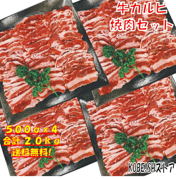 焼き肉 バーベキュー 食材 2kg BBQ 肉 焼肉セット 牛カルビ 牛バラ バーベキュー 肉 バーベキューセット 食材 焼肉 BBQ食材セット BBQ 牛丼 牛肉 送料無料 6〜8人前