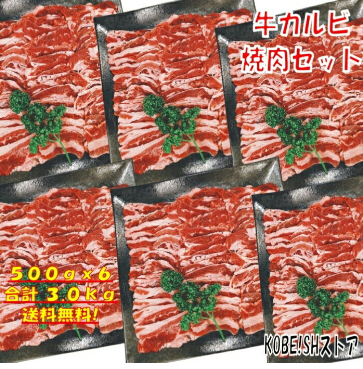 Ă o[xL[ H 3kg BBQ  ēZbg Jr o o[xL[ ē o[xL[Zbg H BBQHރZbg    8`12lO