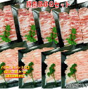 KOBESHȥ㤨־Ƥ С٥塼  4kg BBQ  å ڥ ڥХ С٥塼  С٥塼å  BBQॻå ڥȥ   Ч ̵ 1215פβǤʤ14,900ߤˤʤޤ