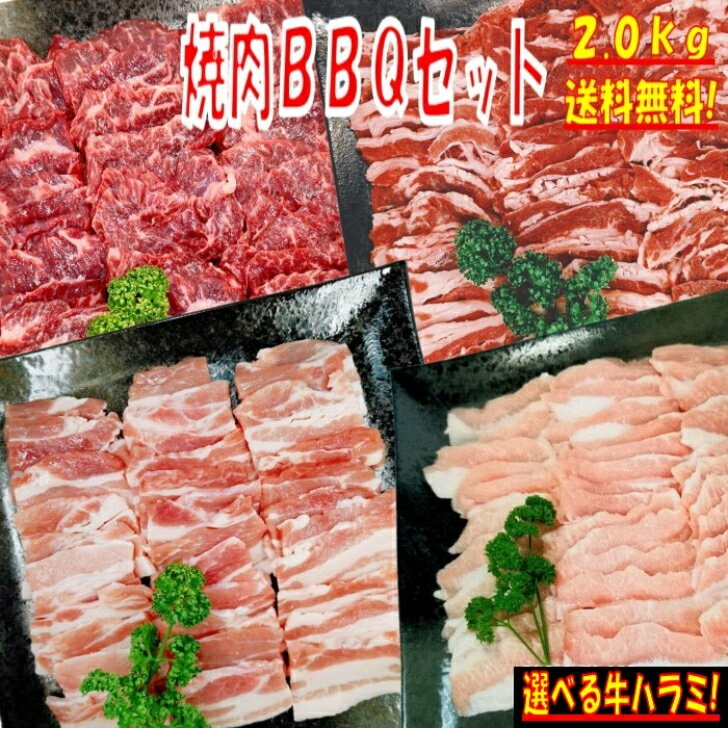 【楽天ランキング2位 精肉セット】焼き肉 バーベキュー 食材 BBQ 肉 焼肉セット 牛カルビ 牛バラ 牛ハ..