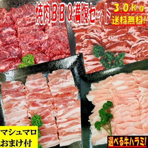 焼き肉 バーベキュー 食材 【マシュマロおまけ付】 3.0kg BBQ 肉 焼肉セット 牛カルビ 牛バラ 牛ハラミ 豚カルビ 豚バラ 豚トロ バーベキュー 肉 BBQ食材セット BBQ 食材 焼肉 豚肉 牛丼 牛肉 送料無料 8〜12人前 焼き肉 バーベキュー 食材 【マシュマロおまけ付】 3.0kg BBQ 肉 焼肉セット 牛カルビ 牛バラ 牛ハラミ 豚カルビ 豚バラ 豚トロ バーベキュー 肉 BBQ食材セット BBQ 食材 焼肉 豚肉 牛丼 牛肉 送料無料 8〜12人前