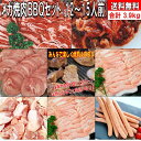 焼肉セット バーベキュー肉 焼き肉 バーベキュー 食材 3.9kg BBQ 肉 焼肉セット タン 牛カルビ 牛バラ 牛肉 豚カルビ 豚バラ 豚トロ 鶏もも肉 BBQ食材セット 焼肉 ウインナー ソーセージ ホームパーティー 鶏肉 豚肉 送料無料 12〜15人前 1