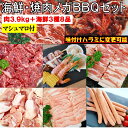 焼き肉 バーベキュー 食材 【 海鮮セット マシュマロ付】 3.9kg BBQ 肉 焼肉セット 海鮮 海鮮セット 海鮮BBQ 牛カルビ 牛バラ 牛ハラミ 豚カルビ 豚バラ 鶏もも肉 バーベキュー 肉 豚トロ 焼肉 ウインナー 豚肉 鶏肉 牛肉 送料無料 12~15人前