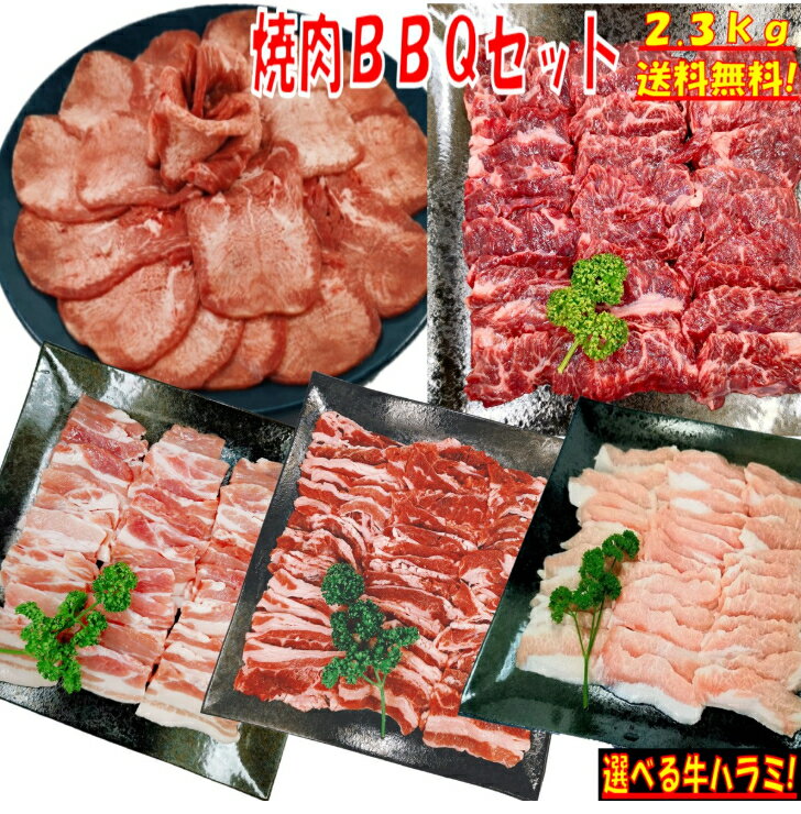 焼肉セット バーベキュー 肉 牛タン 塩タン 薄切り 2.3kg 焼き肉 バーベキュー 食材 BBQ 肉 焼き肉セット 牛カルビ 牛バラ 牛ハラミ 豚カルビ 豚バラ 豚トロ バーベキュー肉 BBQ食材セット 焼肉 豚肉 牛丼 牛肉 送料無料 6〜8人前