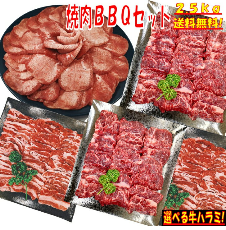 焼肉セット 【精肉セット ランキング2位】牛タン 塩タン 薄切り 焼き肉 バーベキュー 食材 BBQ 肉 バー..