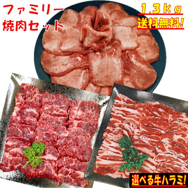 大人の贅沢焼肉セット 1.6kg