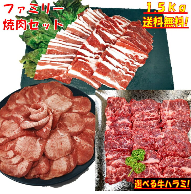 牛タン 塩タン 薄切り 1.5kg 焼き肉 バーベキュー 食材 BBQ 肉 焼肉セット 牛バラ 牛カルビ 牛ハラミ バーベキューセット 食材 肉 BBQ食材セット BBQ 食材 焼肉 牛丼 牛肉 送料無料 4〜6人前