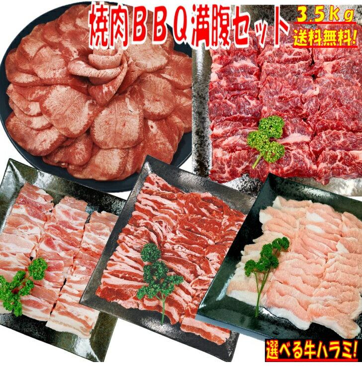 【精肉セット ランキング1位！】牛タン 塩タン 薄切り 3.5kg 焼き肉 バーベキュー 食材 BBQ 肉 焼肉セ..