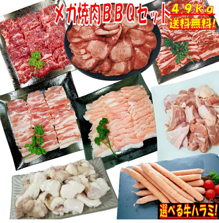 ^ ^ ؂ 4.9kg Ă o[xL[ H BBQ  Jr o n~  ؃Jr ؃o ؃g  BBQHރZbg  ē \[Z[W ECi[ { ؓ  12`15lO