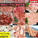 焼肉セット バーベキュー 肉 焼き肉 【マシュマロおまけ付】 バーベキュー 食材 BBQ 肉 タン 牛カルビ 牛バラ 牛ハラミ 豚カルビ 豚バラ 牛肉 豚トロ ...