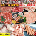 焼肉セット バーベキュー肉 【 海鮮セット 数量限定増量中 マシュマロおまけ付】 焼き肉 バーベキュー 食材 4.2kg BBQ 肉 海鮮 海鮮セット 海鮮BBQ タン 牛バラ 牛ハラミ 牛肉 豚バラ 豚トロ 鶏もも BBQ食材セット 焼肉 ソーセージ ホルモン 鶏肉 豚肉 送料無料 12~15人前