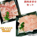 焼き肉 バーベキュー 食材 1kg BBQ 肉 焼肉セット 豚カルビ 豚バラ バーベキュー 肉 バーベキューセット 食材 BBQ食材セット 豚トロ 焼肉 豚肉 ...