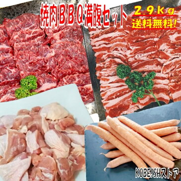 【20日限定！全品5％OFFクーポン配布中！】焼き肉 バーベキュー 食材 BBQ 肉 焼肉セット 牛カルビ 牛バラ 牛ハラミ 鶏もも肉 バーベキュー 肉 ウインナー ソーセージ BBQ 食材 焼肉 豚肉 鶏肉 牛肉 2.9kg 送料無料 8〜12人前