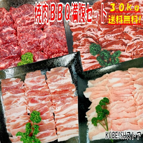 【20日限定！全品5％OFFクーポン配布中！】焼き肉 バーベキュー 食材 BBQ 肉 焼肉セット 牛カルビ 牛バラ 牛ハラミ 豚カルビ 豚バラ 豚トロ バーベキュー 肉 BBQ食材セット BBQ 食材 焼肉 豚肉 牛丼 牛肉 3kg 送料無料 8〜12人前