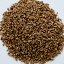 ֡10%OFFۥ󥷡 250g ,ͥѥ,Ajwain Seeds,,,,,ڥ,,ꥢ,ѥ,ϡ,Ĵ̣,̳,ͥѥ,ڤ椦ѥå̵,MTפ򸫤