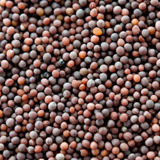 ブラウンマスタードシード 10kg,業務用,神戸スパイス,Brown Mustard Seeds,原型,マスタード,シード,芥..