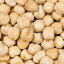 ひよこ豆 10kg (1kg×10袋) インド産 送料無料,業務用,神戸スパイス,豆,乾物,Chickpea,ヒヨコ豆,チャナ豆,チャナ,Garbanzo,kabuli Chana,ガルバンゾー,エジプト豆,ビーンズ】