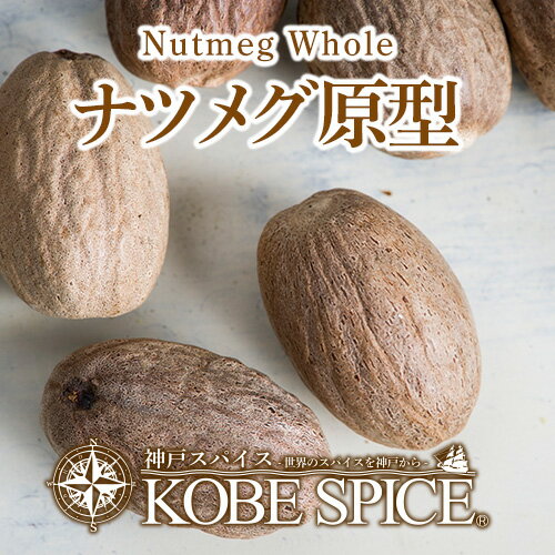 ナツメグホール 20g,Nutmeg Whole,原型,ナツメグ,ニクズク,インド,スペイン,中華, ...