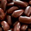 åɥɥˡӡ 1kg / 1000g ,ͥѥ ﲹ ͢ Ʀ Red kidney beans åɥɥˡ 饸 Rajma åɥӥ Red Lobiya ֥󥲥Ʀ Ʀ,MT