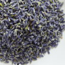 x_[ 500g TVF `L ACs[ɉԕ,lavender,|v,΂,Lavender,hC,hCt[,XpCX,n[ueB[,Herb,VOn[uyz