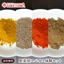 野菜用スパイス体験セットSpice,Masala,クミンシード,カイエンペッパーパウダー,ガラムマサラ,インド,スペイン,中華,イタリア,スパイス,ハーブ,調味料,業務用,神戸スパイス,仕入,