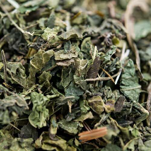 ネトルリーフ 500g 【Nettle Leaf,セイヨウイラクサ,ドライ,ハーブ,インド,スペイン,中華,イタリア,スパイス,ハーブティー,Herb,Spice,シングルハーブ【送料無料】