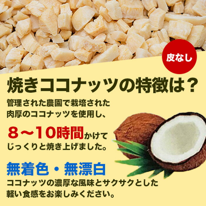 焼きローストココナッツ 500g 皮なし,ココヤシ,Coconut,ココナツ,無漂白,無着色,焼き,ナッツ,製菓材料,【送料無料】 3