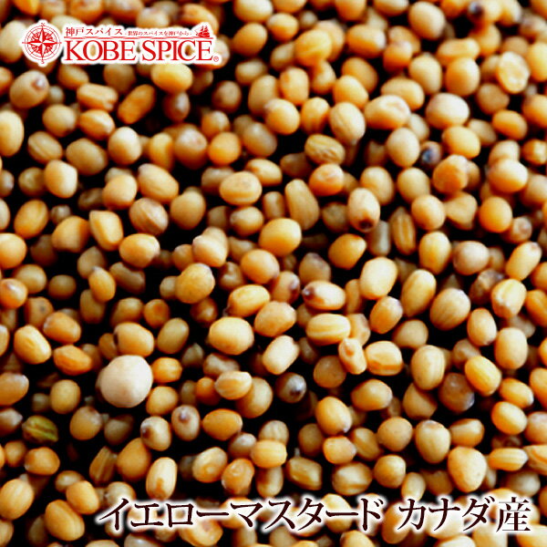 イエローマスタードシード カナダ産 1kg / 1000g,業務用,神戸スパイス,Yellow Mustard Seeds,原型,マスタード,シード,芥子,からし,スパイス,ハーブ,調味料,仕入,MT