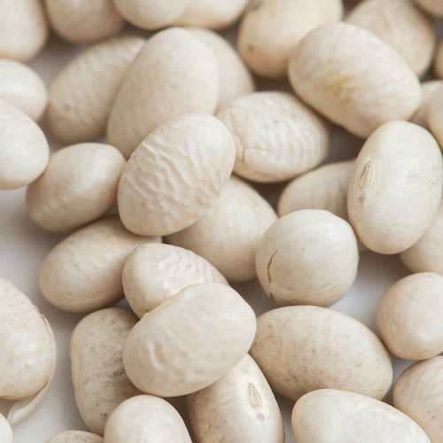 򤤤󤲤Ʀ ۥ磻ȥɥˡӡ 5kg (1kg5) White Kidney Beans,̳,ͥѥ,,,,,ɥˡ,Ʀ,Ʀ,Soybean,ͥѥ ̵