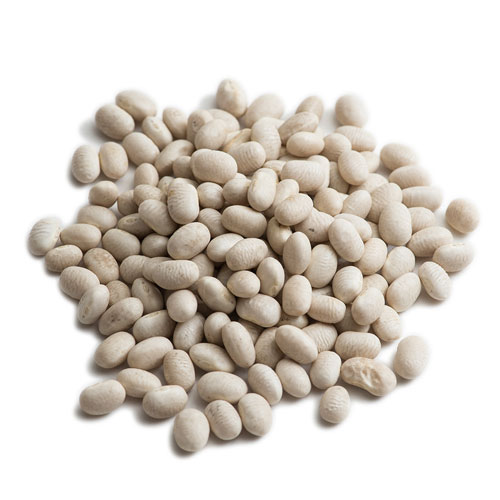 白いんげん豆 ホワイトキドニービーンズ 1kg / 1000g White Kidney Beans,業務用,神戸スパイス,スープ,卸,材料,餡子,キドニー,豆,白金時豆,Soybean,神戸スパイス 【送料無料】 2