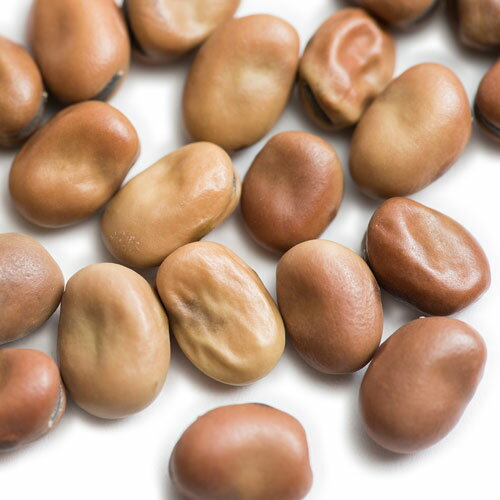 y10%OFFz瓤   3kg (1kg~3)y\},t@or[,Faba Beans,Ɩp,_˃XpCX,X[v,,ޗ,hC,Soybean,_˃XpCX ,MT