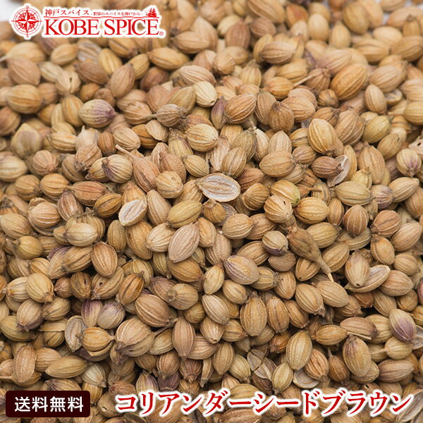 コリアンダーシード ブラウン モロッコ産 500g 【Coriander Seeds,コエンドロ,原型,コリアンダー,シード,インド,スペイン,中華,イタリア,スパイス,ハーブ,調味料,業務用,神戸スパイス,MT