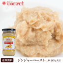 ジンジャーペースト 283g 1本 【通常便,Ginger Paste,すりおろし,しょうが,生姜,ショウガ,インド料理,ジャム,インドカレー,スパイス,食材,材料,ソース,業務用,神戸スパイス,神戸スパイス,【送料無料】