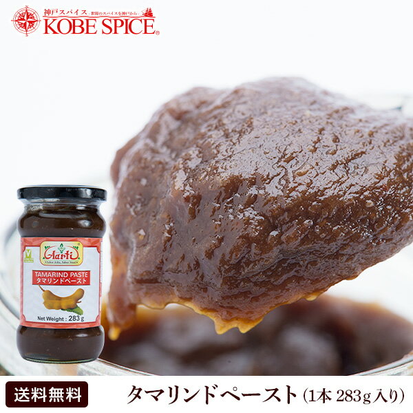 【10%OFF】タマリンドペースト 283g 1本 通常便,tamarind,paste,お漬物,食材,材料,ソース,業務用,神戸スパイス,神戸スパイス,【送料無料】