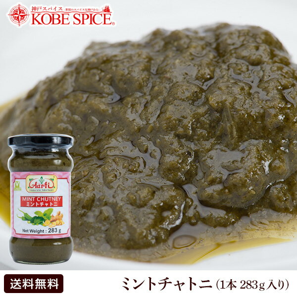 【10%OFF】ミントチャトニ 283g 1本 【ソース,チャツネ,調味料,Vegetarian,みんと,MINT,お漬け物,あちゃーる,付け合わせ,インドカレー,スパイス,食材,材料,業務用,神戸スパイス,神戸スパイス,【送料無料】MT