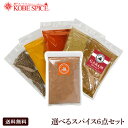 選べる お試し スパイス 6点 セット (各100g) ,お試し,spice,スパイスセットシナモンパウダーセイロン コリアンダーパウダー, お試し,インド,カレー,お試しセット,業務用,香辛料,調味料,神戸スパイス,MT