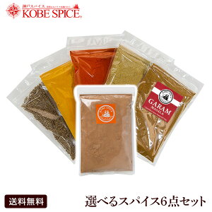 【あす楽対応】選べる お試し スパイス 6点 セット (各100g) ,お試し,spice,スパイスセットシナモンパウダーセイロン コリアンダーパウダー, お試し,インド,カレー,お試しセット,業務用,香辛料,調味料,神戸スパイスMT