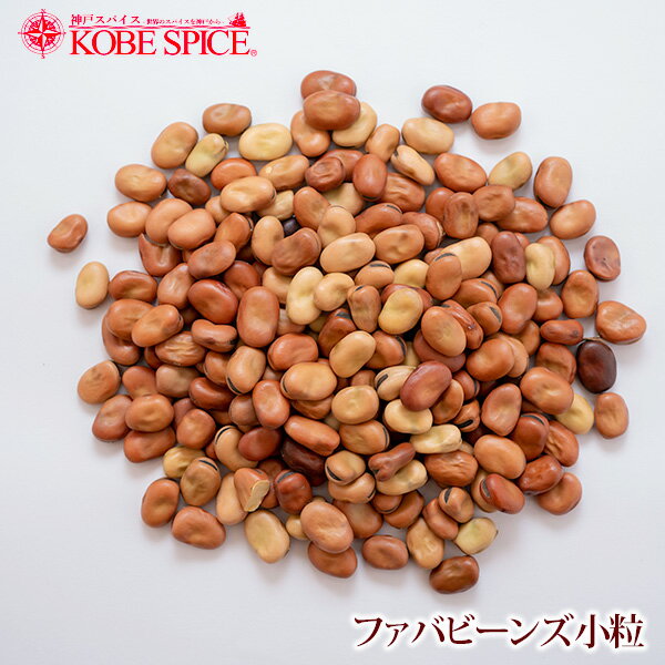 ファバビーンズ小粒 3kg(1kg×3袋) 常温便送料無料 Fava Bean Small 乾燥豆 ソラマメ スープ 煮込み料理 神戸スパイス MT