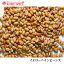 イエローペインビーンズ 10kg(1kg×10袋) Yellow Pain Bean ,カレー,スープ【送料無料】