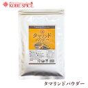 タマリンドパウダー 100gTamarind Powder スパイス ハーブ 香辛料 調味料