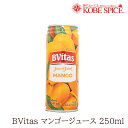 Bvitas }S[W[X 250ml~3{ 퉷  W[X Ɩp d  ʔ ̔ _˃XpCX 