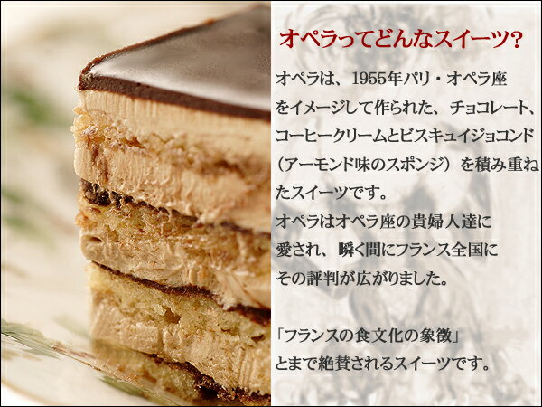 【ポイント10倍】誕生日ケーキ バースデーケーキ【オペラ】 チョコレートケーキ ケーキ メッセージプレート 【あす楽】送料無料 神戸スイーツ 2024 ギフト プレゼント 春スイーツ 洋菓子 キャンドル お菓子 お供え 帰省 子供 大人 ガトーショコラ 母の日 こどもの日