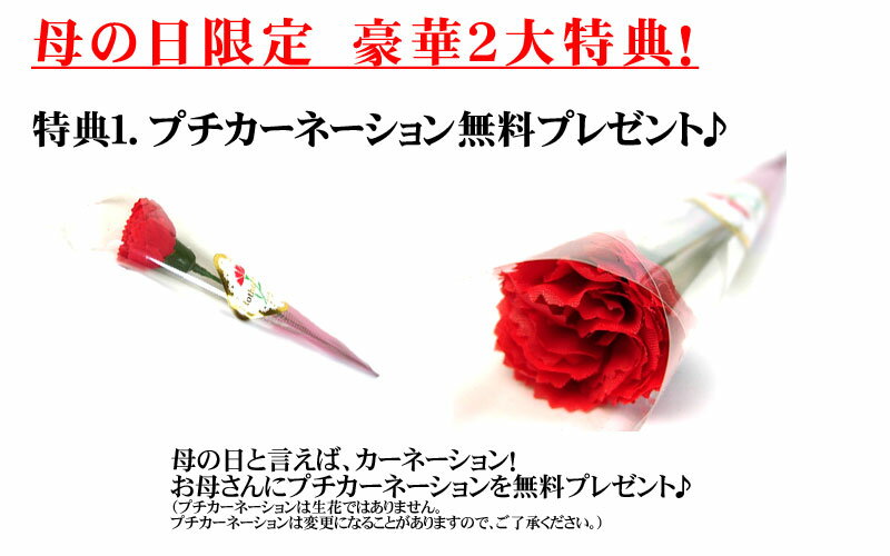 【ポイント10倍】母の日　ザッハトルテ　甘さ控えめオレンジ風味のチョコレートケーキ　バースデーケーキ　誕生日ケーキ　人気　春ギフト　神戸スイーツ　2020 ^k 　 プチカーネーション メッセージカード付 花 セット motherお菓子 おしゃれ