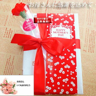 遅れてゴメンね!母の日 スイーツ 花 セット ギフト ラッピング パウンドケーキ 2本セット【送料無料】メッセージカード付 花 セット 神戸スイーツ 詰め合わせ 2018 ^k お菓子 おしゃれ mother 早割 プチギフト