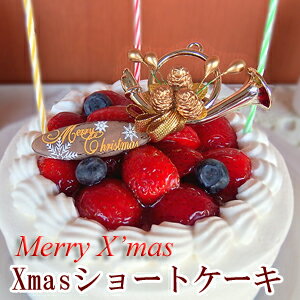 【ポイント10倍】【クリスマスケーキ】 いちごショートケーキ ^k 神戸スイーツ　2019 送料無料 子供 キッズ 女の子 男の子 苺 イチゴ デコレーションケーキ ギフト　 ird-xmas　早期予約 おしゃれ お菓子 洋菓子 　早割