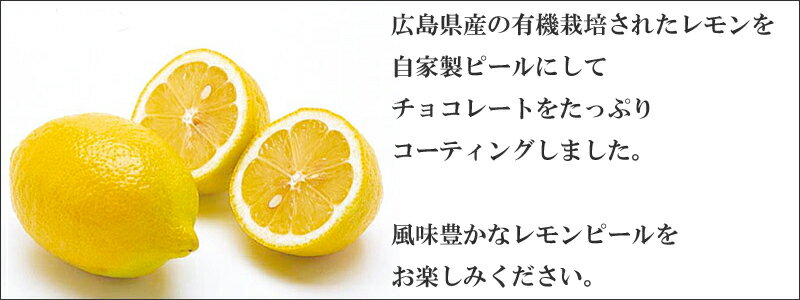 バレンタイン　ホワイトデー チョコ チョコレート レモンピール 神戸スイーツ ランキング 人気 2021 ギフト 義理チョコ 大量 友チョコ 本命 プチギフト お菓子 早割パティスリーアールディプリュス お返し　お菓子格安通販　バレンタイン　人気　ランキング