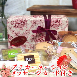 10倍 遅れてごめんね 母の日スイーツ花セットギフトスイーツ焼き菓子セット 早割2021プチカーネーションメッセージカード