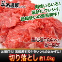 【佐賀・宮崎産 黒毛和牛】切り落とし約1kg 【送料無料】